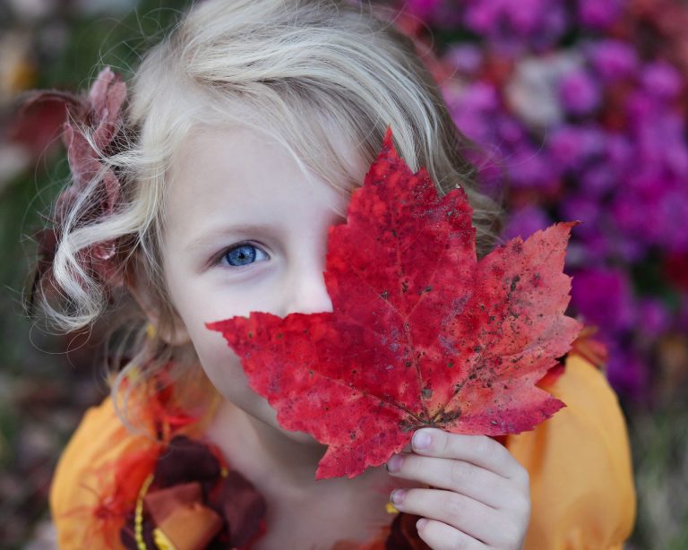 A young child with blonde hair holds a large red maple leaf over part of their face, with colorful flowers blurred in the background.